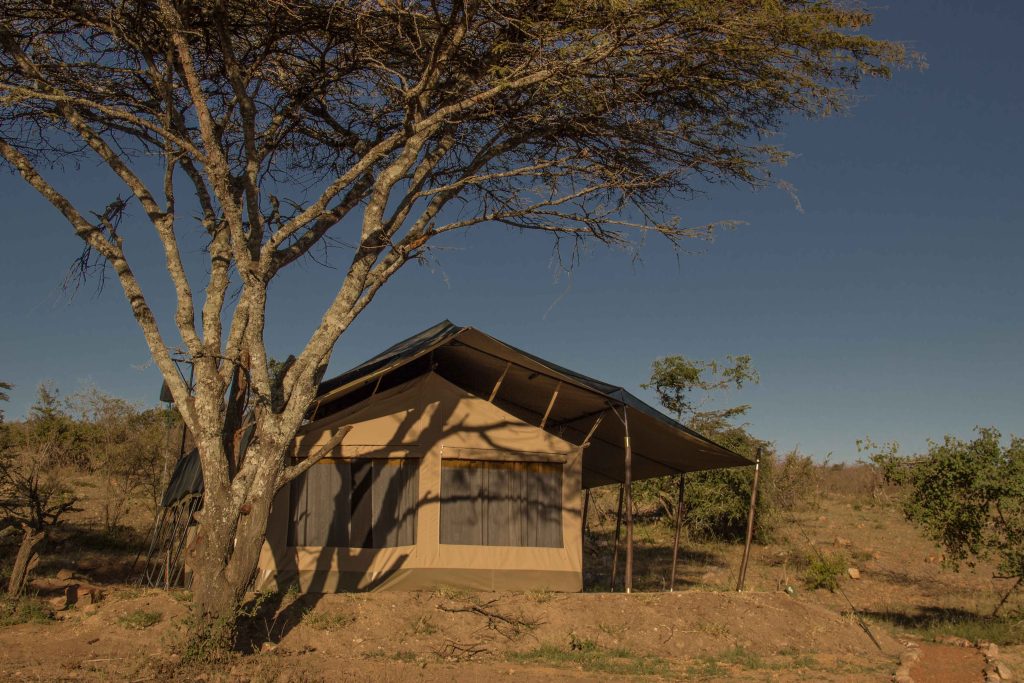 Rhino Experience