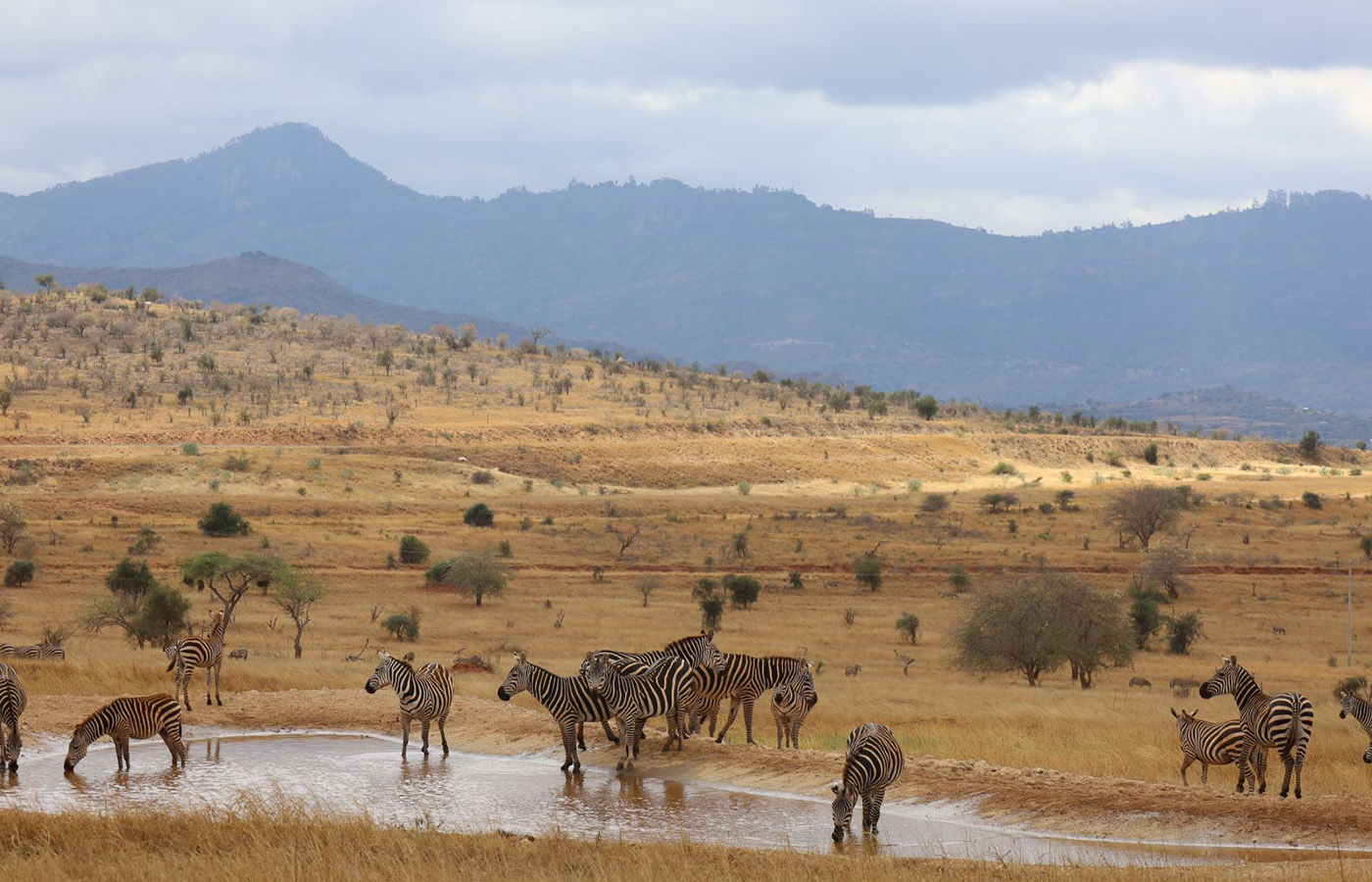 Holiday Spot Safaris